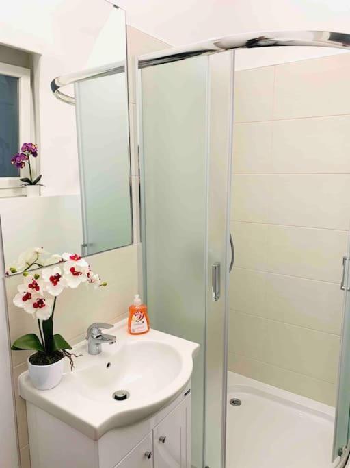 Nuovo Casa Διαμέρισμα Σόπρον Εξωτερικό φωτογραφία